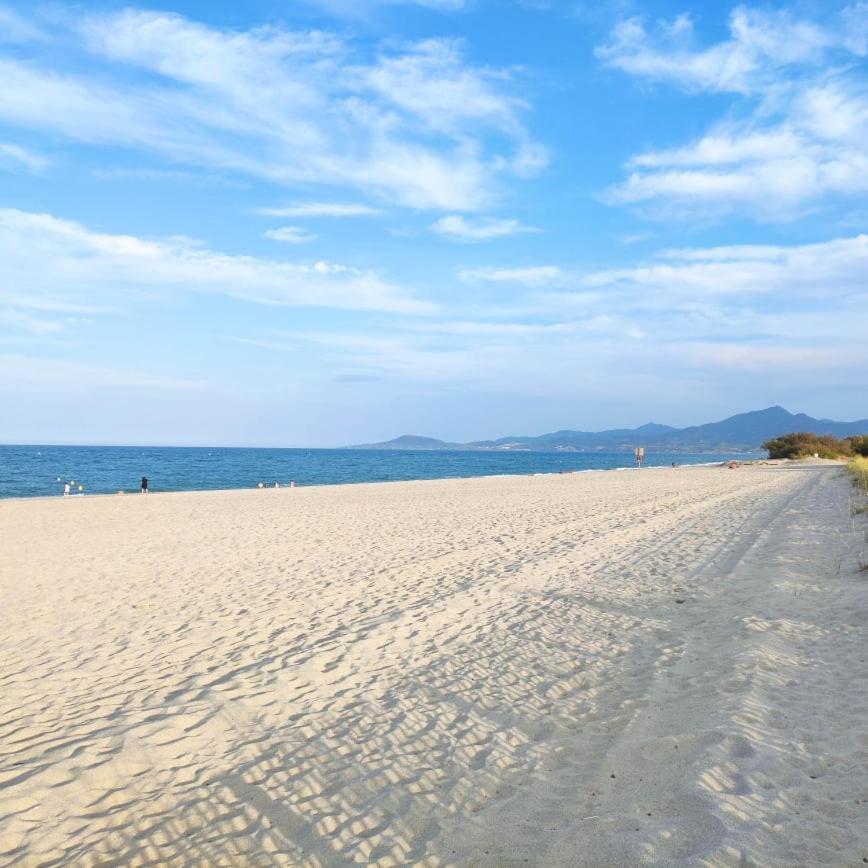 Les Capitelles 5 - Acces Direct A La Plage Depuis Le Jardin - T2 Avec Cabine - 6 Pers - Jardin - Piscine - Parking Saint-Cyprien  Dış mekan fotoğraf